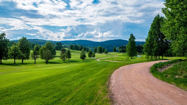 Норвегия зеленый природа поля горы