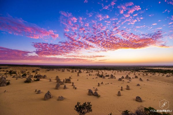 Полупустыни Австралии