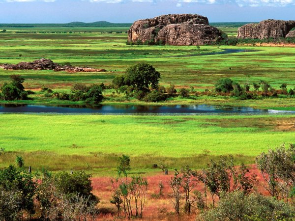 Ландшафт Австралии Саванна