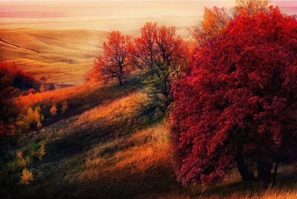 Природа осень