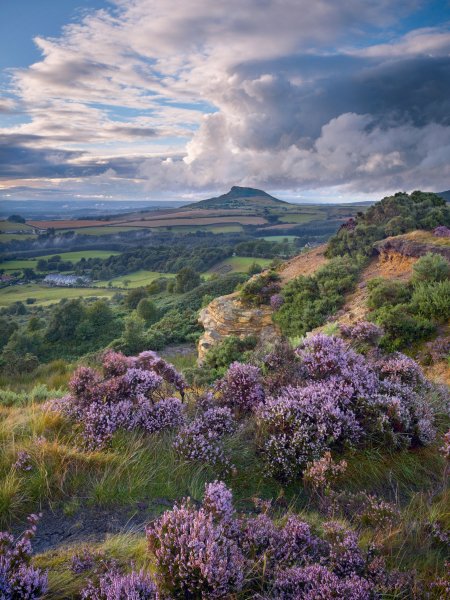 Вересковые холмы Англия