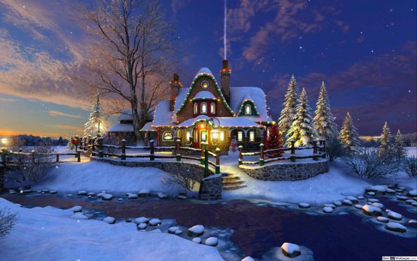 Художник Nicky Boehme