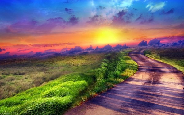 Ann Marie Bone английская художница