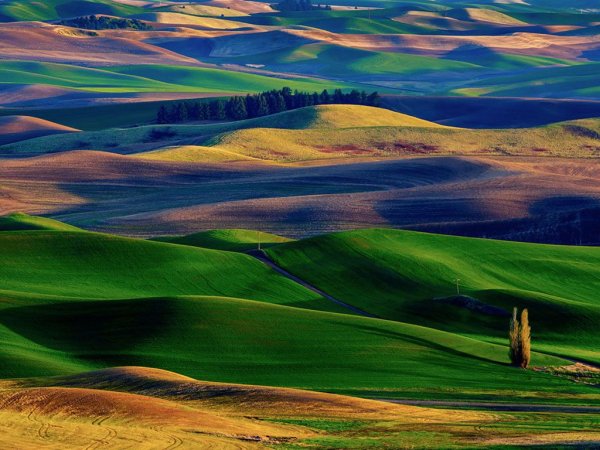 Швеция Альпийские Луга