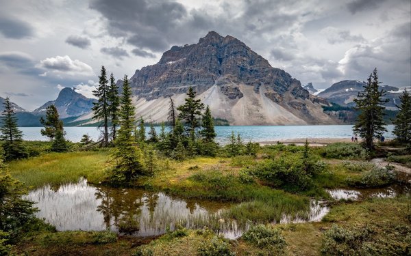 Природа Альберты Канада