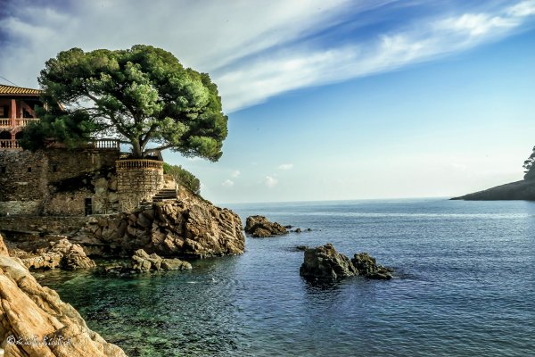 Природа на побережье Коста-бравы