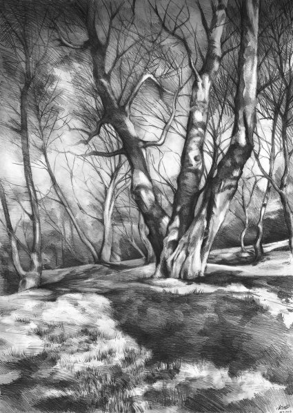 Рисунки карандашом природа