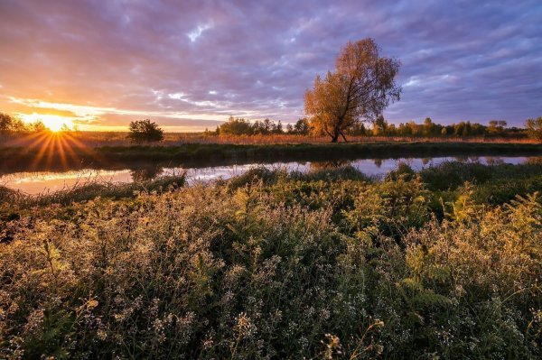 Красивая природа Белоруссии