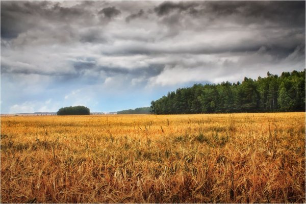 Белоруссия пейзаж Хутор