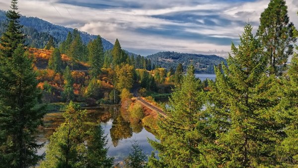 Тайга на Дальнем востоке сопки