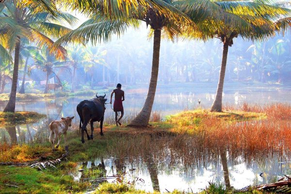 Индийская природа