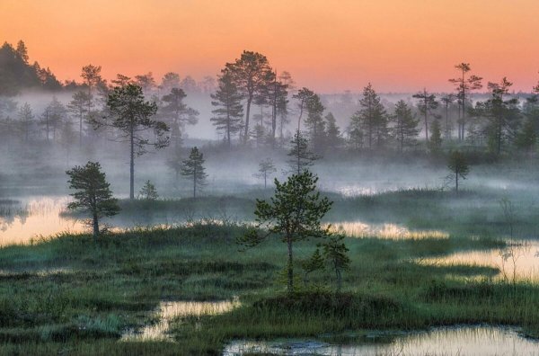 Болото Юпяужшуо Карелия