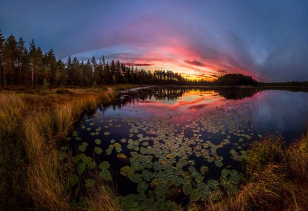 Федор Лашков Ленинградская область