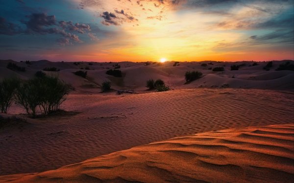 Негев пустыня закат