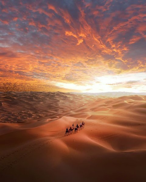 Пейзаж пустыни