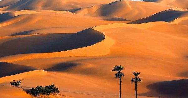 Африка сахара