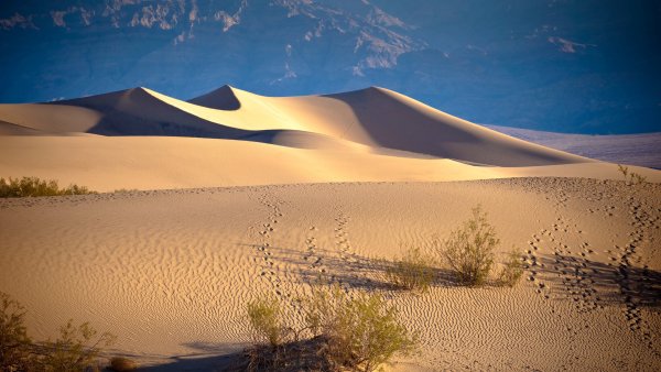 Бархан Сарыкум