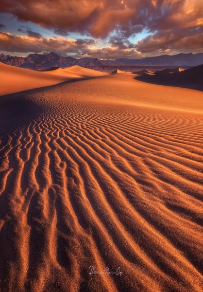 Бекзовчкся пустыня