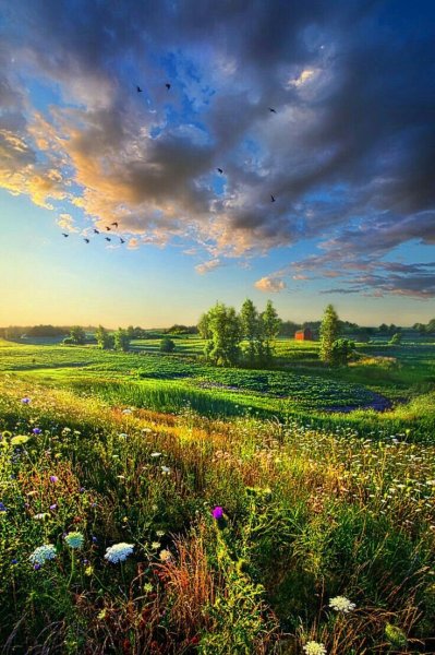 Летние пейзажи природы