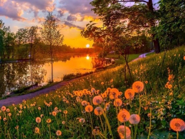 Природа России лето рассвет