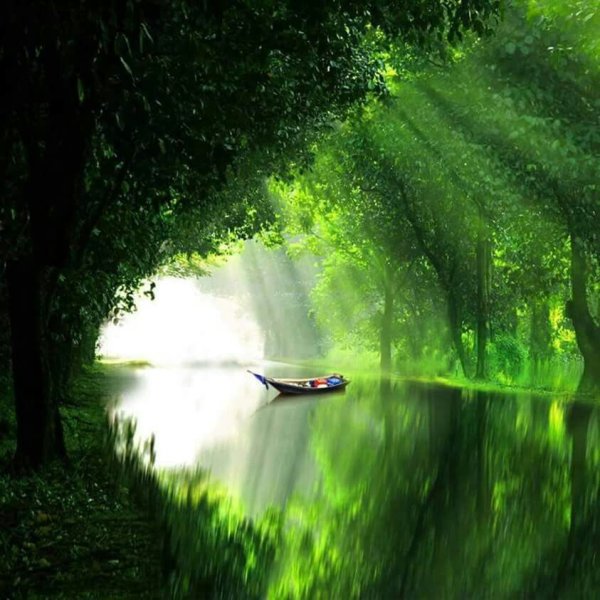 Успокаивающий пейзаж