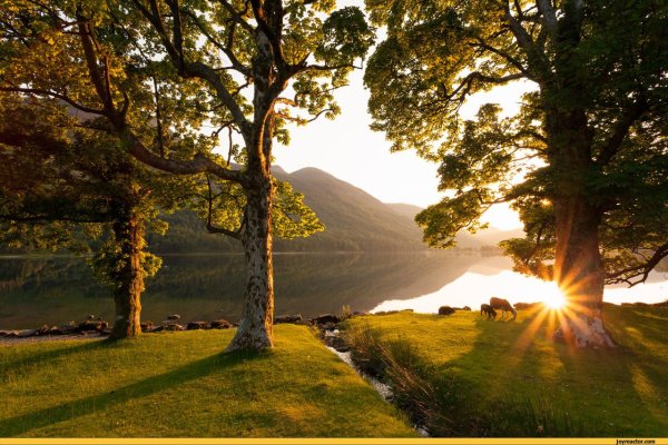 Красивый вид