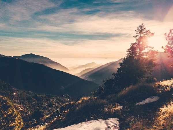 Форкс Сумерки