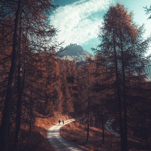 Зимний пейзаж