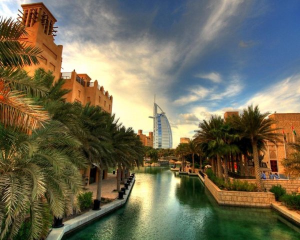 ОАЭ эмират Дубай природа