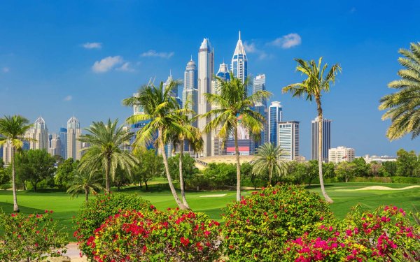 ОАЭ эмират Абу-Даби природа