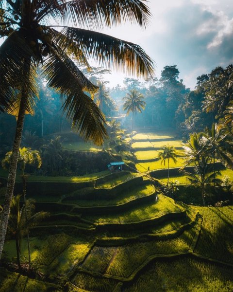 Бали (остров в малайском архипелаге)