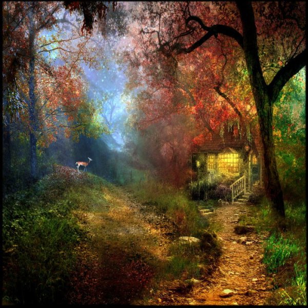 Таинственные пейзажи