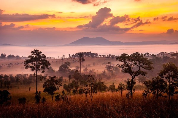 Саванны Австралии климат