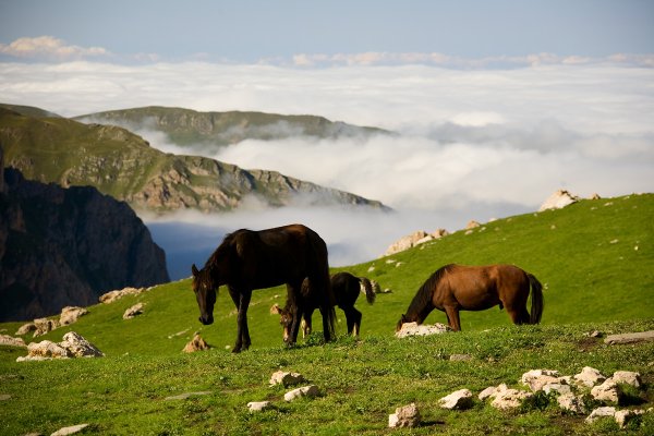 Горы Азербайджана