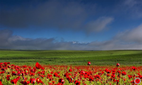 Азербайджан природа