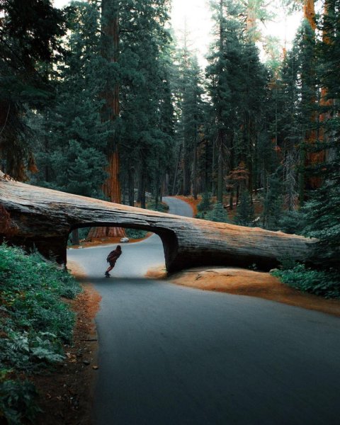 Созерцание природы