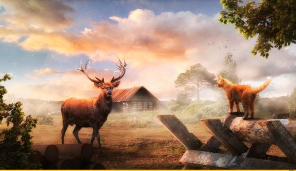 Смешной закат