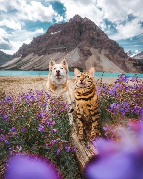 Пейзаж рассвет