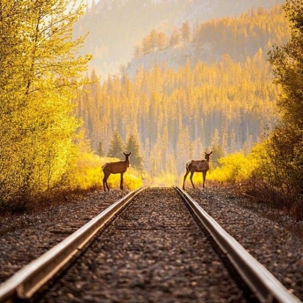 Креативный пейзаж