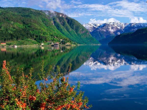 Фьорд Хардангер Норвегия