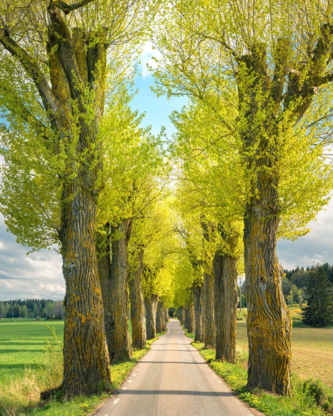 Швеция пейзажи