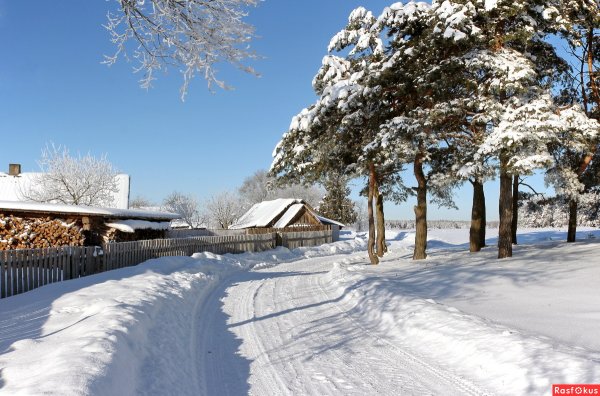 Солнечный зимний день