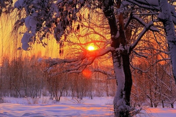 Зимний рассвет