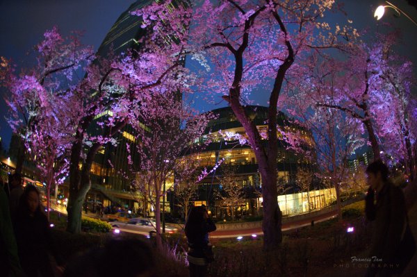 Пейзажи Японии Токио