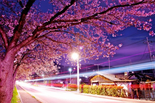 Япония гора Фудзияма храм