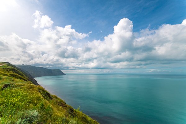 Анапа природа море