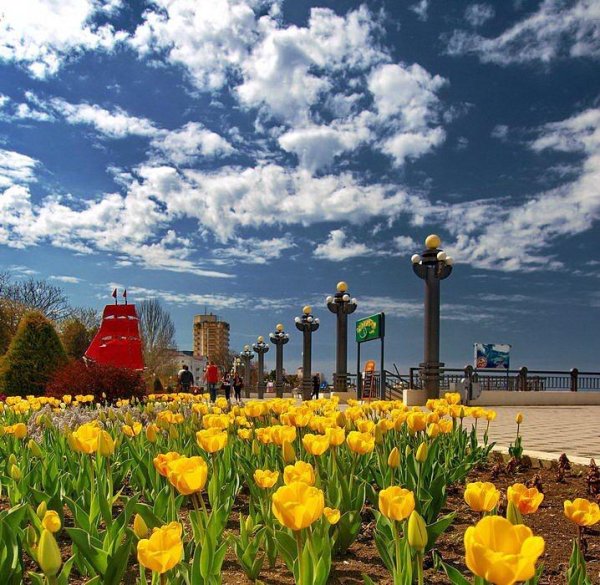 Анапа природа в городе