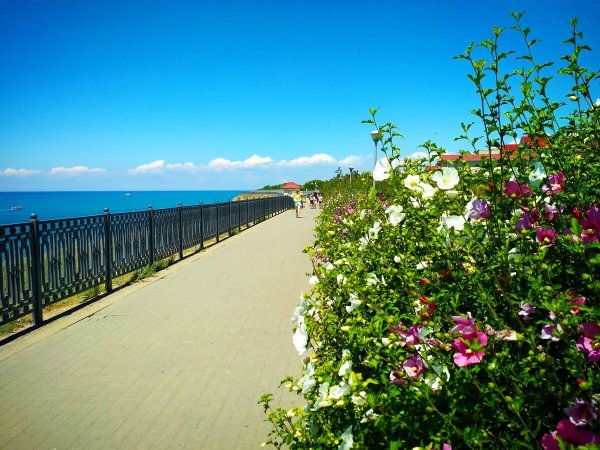 Анапа Витязево природа