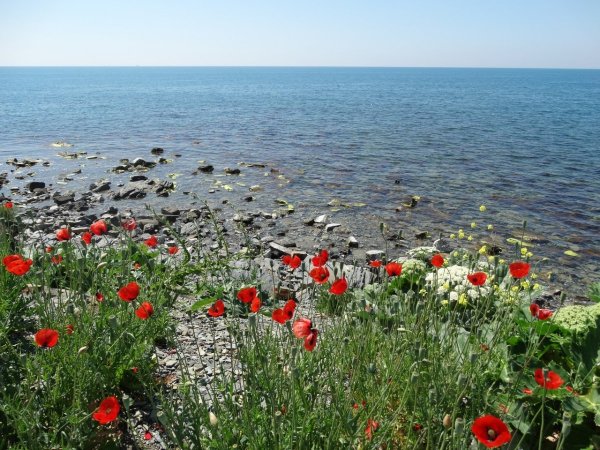 Анапа природа море