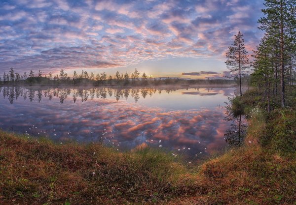 Русский Север природа Архангельской области